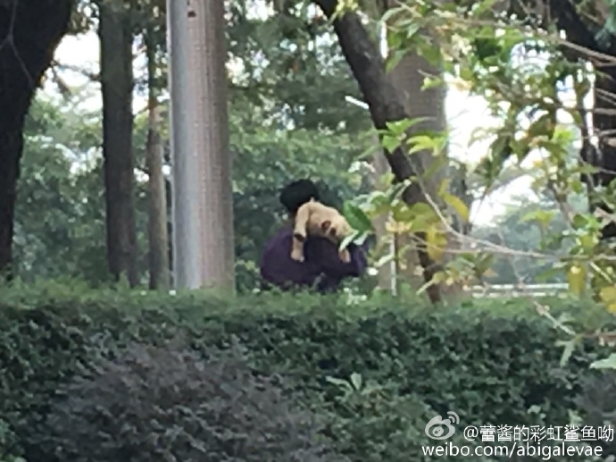 exo暖心叮嘱艺兴,exo艺兴霸气上场