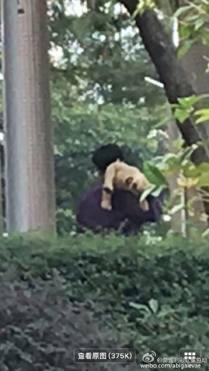 exo暖心叮嘱艺兴,exo艺兴霸气上场