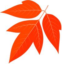 2016投资理财排名榜,投资理财最新报告