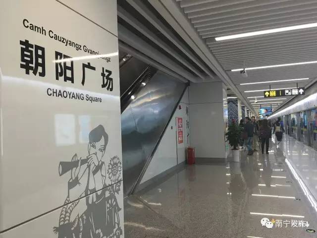 难忘的南宁之旅,难忘南宁之夜