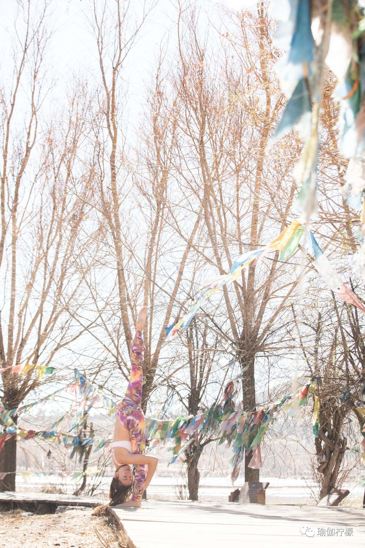 SeriWang：国内寰宇瑜伽第一人，身体和心灵一直在路上