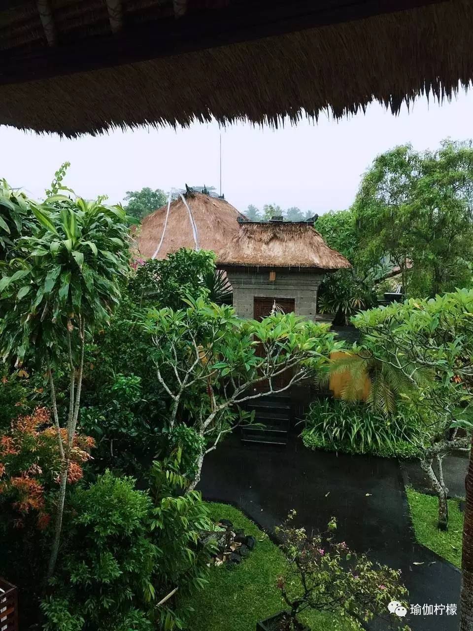 SeriWang：国内寰宇瑜伽第一人，身体和心灵一直在路上