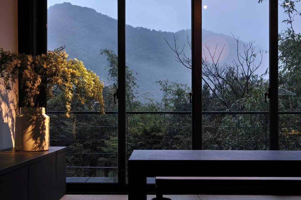 林炳辉埋葬在哪里,林炳辉融入自然