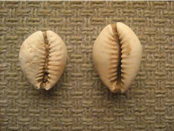 支付宝十年账单为什么那么多,支付宝支付账单为什么要刷脸