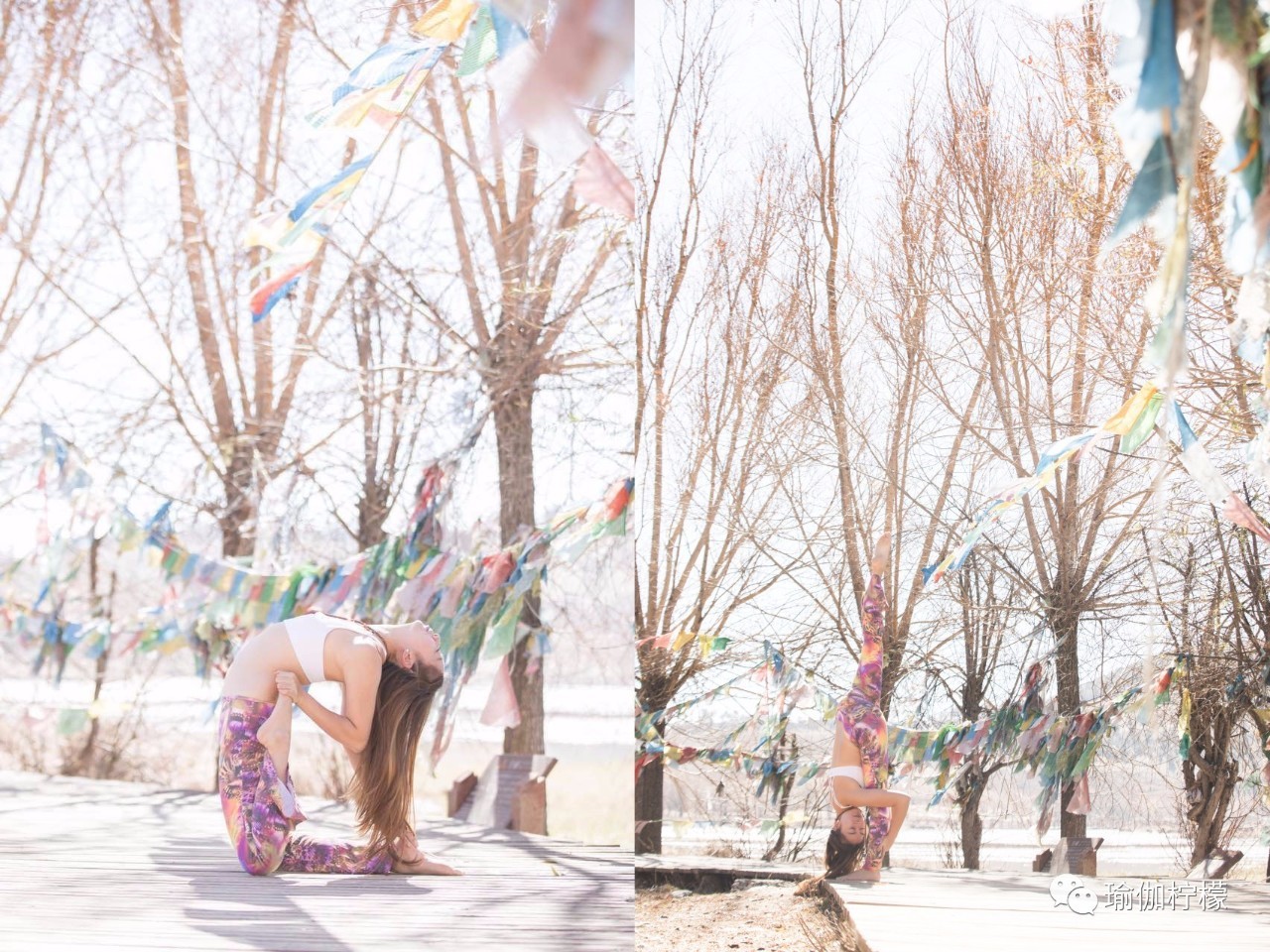 SeriWang：国内寰宇瑜伽第一人，身体和心灵一直在路上