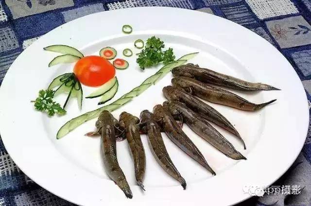 2017年霞浦“海鲜年历”出炉，你知道现在该吃什么吗？