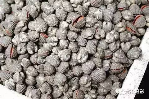 2017年霞浦“海鲜年历”出炉，你知道现在该吃什么吗？