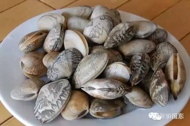 2017年霞浦“海鲜年历”出炉，你知道现在该吃什么吗？