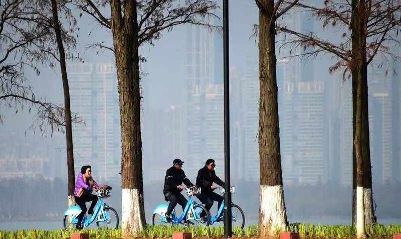 东湖绿道骑行游玩攻略,东湖绿道游船攻略