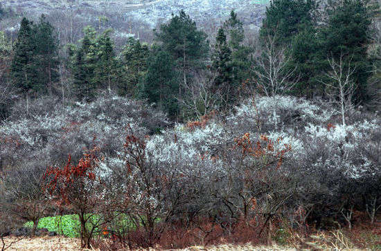 贵州独特之美,贵州风景之最