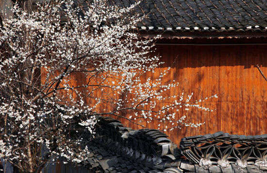 贵州独特之美,贵州风景之最