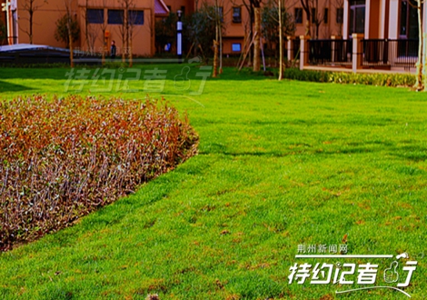 特约记者有用吗,特约记者团