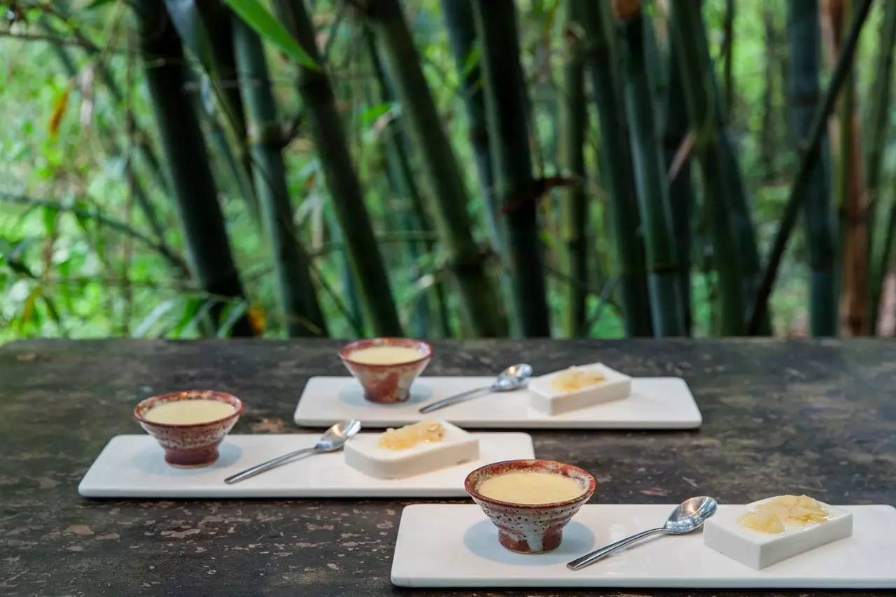 林炳辉埋葬在哪里,林炳辉融入自然