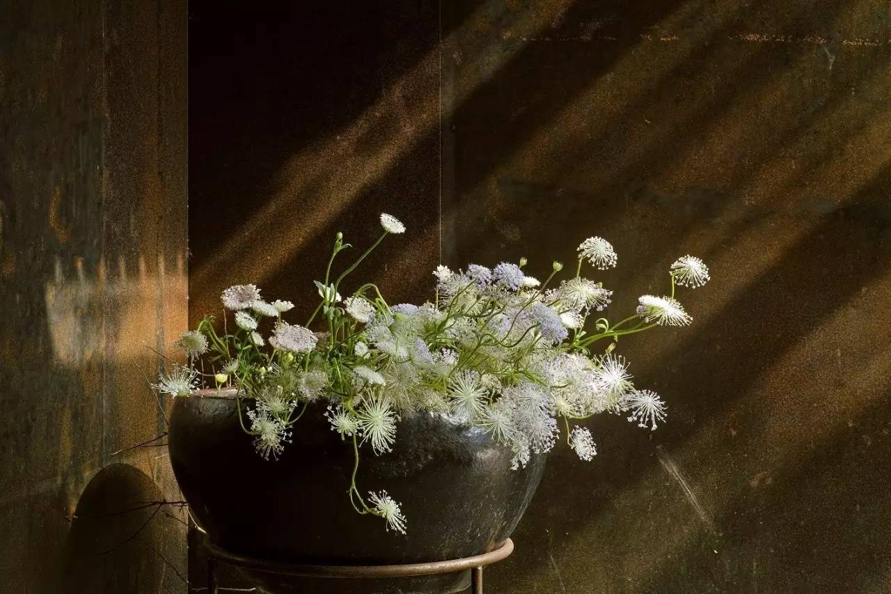 林炳辉埋葬在哪里,林炳辉融入自然