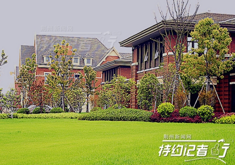 特约记者有用吗,特约记者团