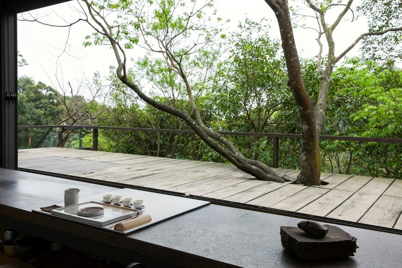 林炳辉埋葬在哪里,林炳辉融入自然