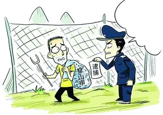 怎么可以吃穿山甲?!武平籍男子非法收购穿山甲获刑8个月并罚款