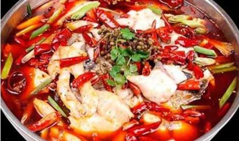 火锅鱼和水煮鱼,火锅鱼和铁锅炖