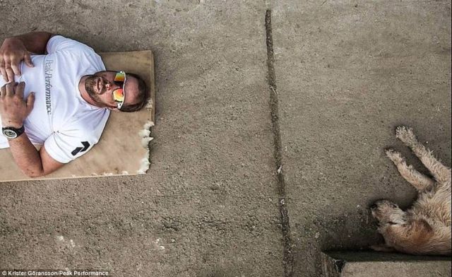 一条狗一个人的感人视频,一条狗一个人生活