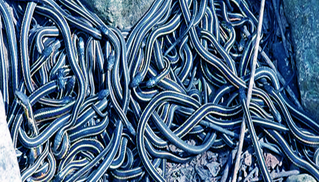 家乡的传说故事视频,家乡的传说或故事