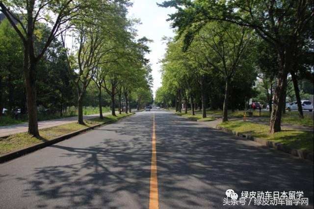 日本筑波学院大学照片,日本筑波大学理论物理专业