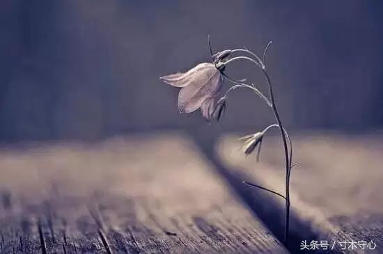 十年创业心路历程换来今天的辉煌,雄关漫道真如铁的文章