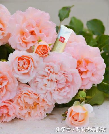 韩国必买清单学生党,2019韩国值得买的东西清单