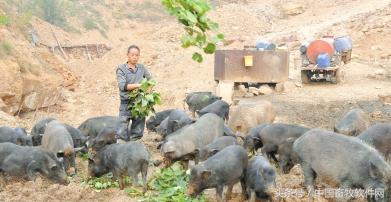 农村创业，可以做哪些项目呢？