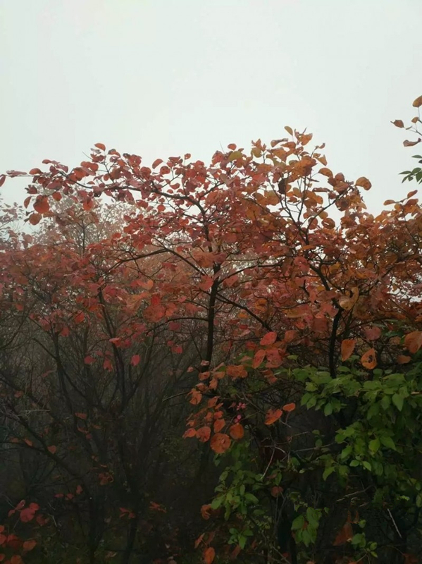 山清水秀青龙峡视频,山清水秀青龙峡