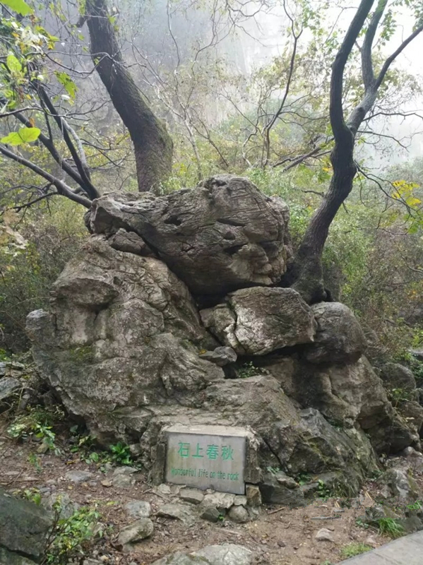 山清水秀青龙峡视频,山清水秀青龙峡