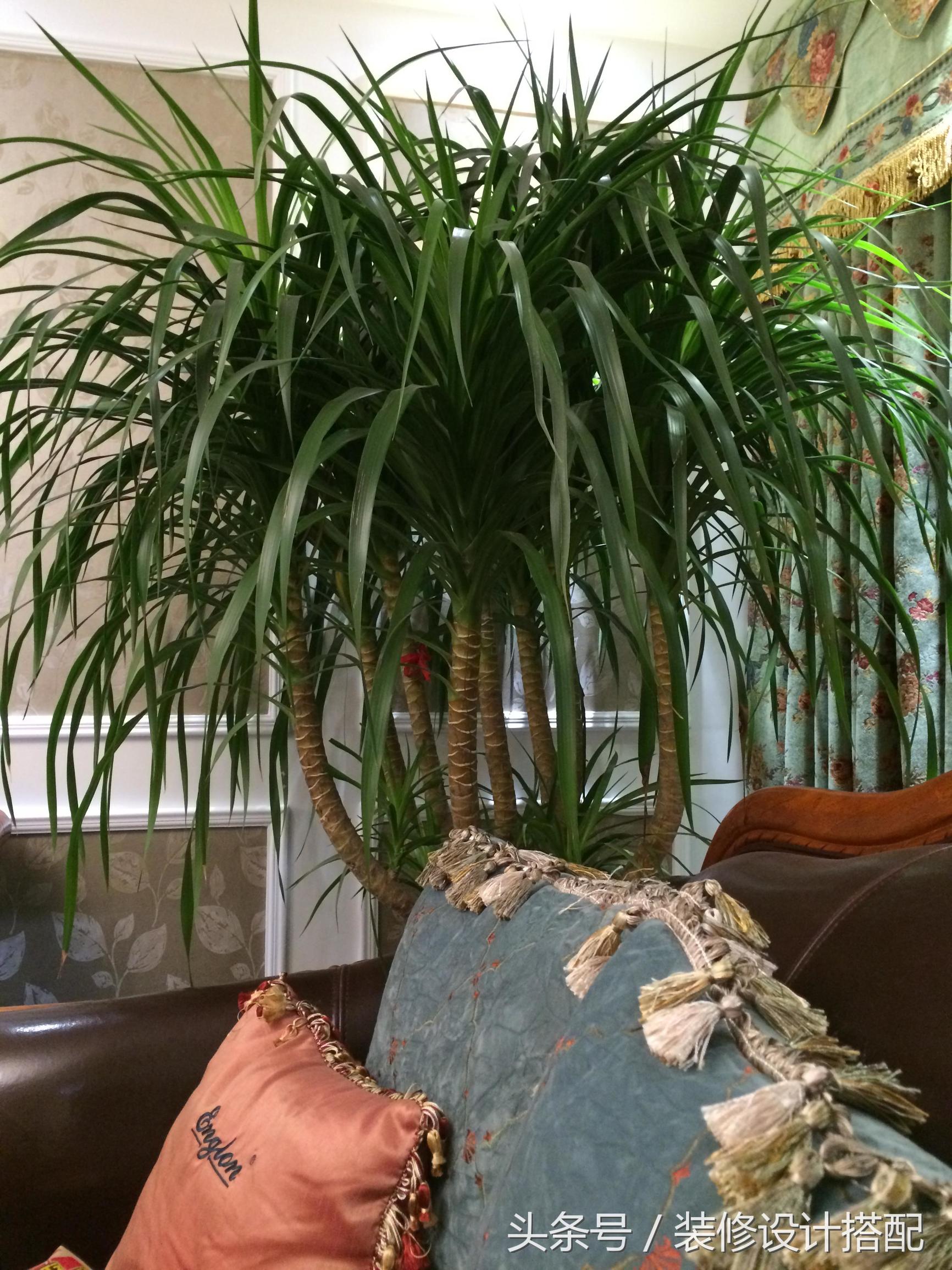 装修新房什么样的家具好看,屋子装修家具推荐