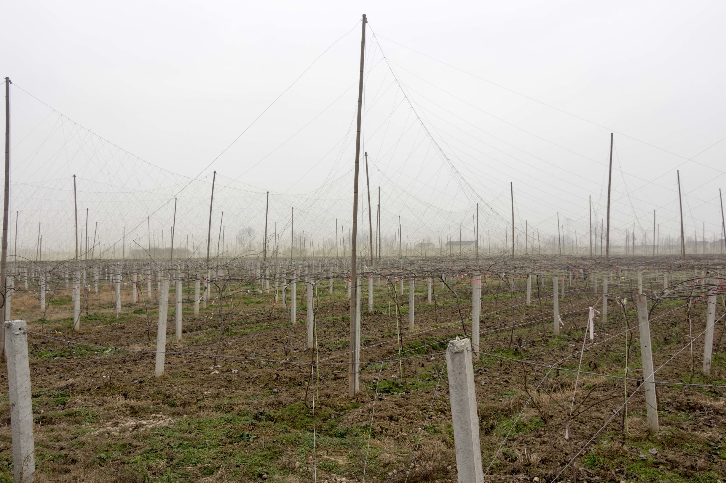 外出务工农民可以享受土地承包吗,农民承包土地获得劳动报酬