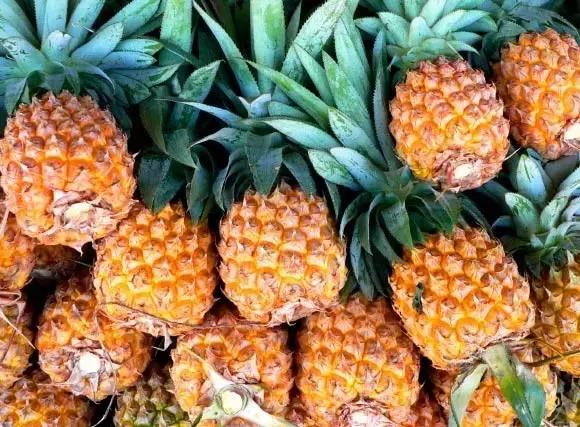 冬瓜凤梨馅做法,凤梨馅加什么混合更好吃