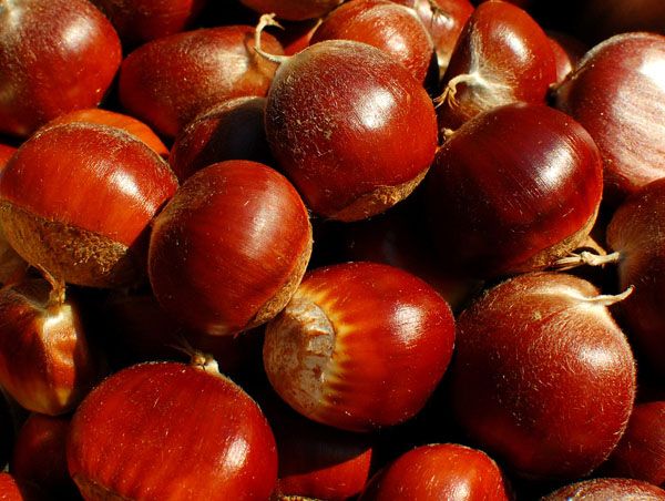 缃楃敯鏉挎牀椋庢櫙瑙嗛,缃楃敯鏉挎牀鍗抽鏉挎牀