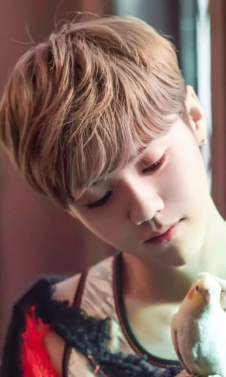 泥萌认识鹿晗吗？就“亲”他，看看，这才是最真实的鹿晗