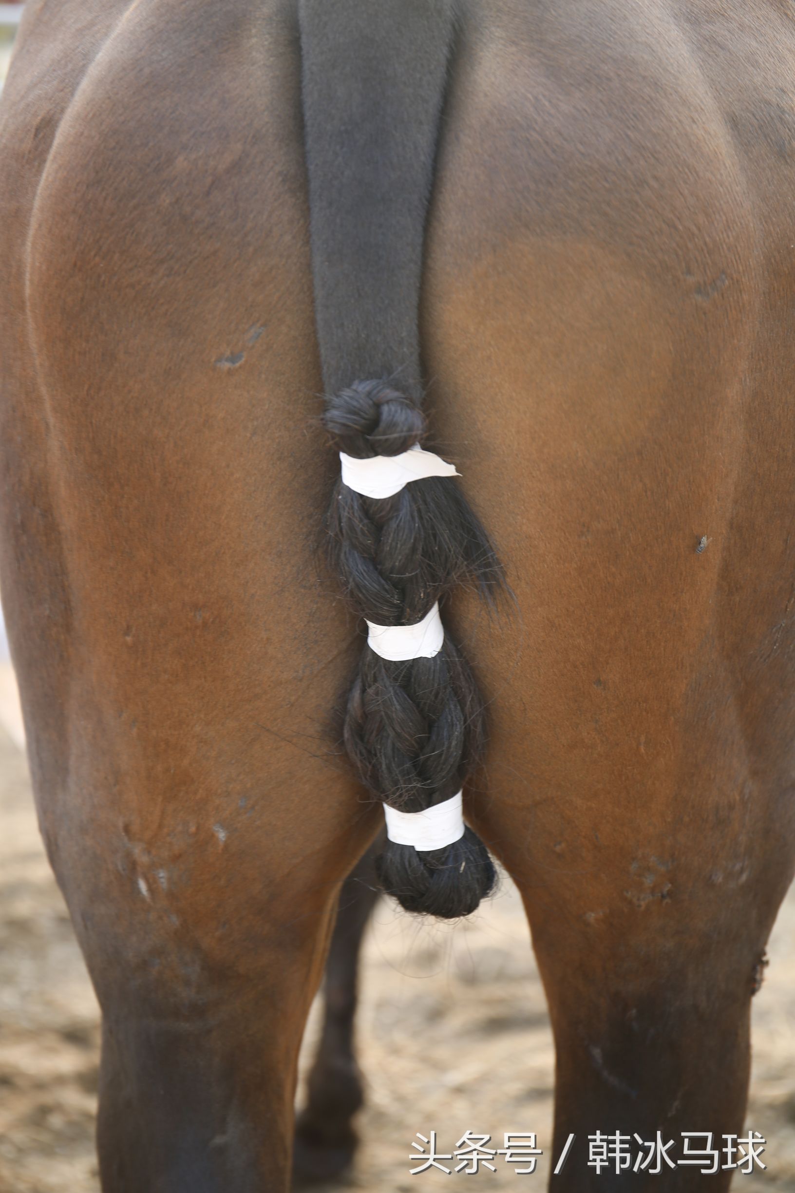 拍马屁不能乱拍,为什么说不要乱讲话