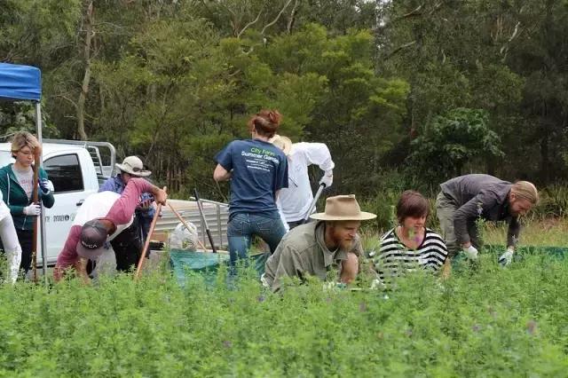 怎么才能一边旅行一边赚钱啊,国外旅游代购怎么赚钱的
