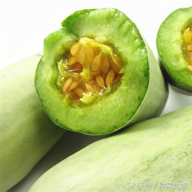 不要跟风种菜,不要跟风选种