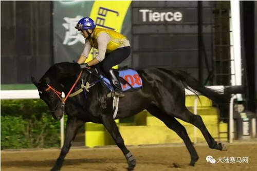 人不行,赛马上!甄子丹和洪金宝的赛马“真刀实枪”PK了一把!