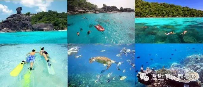 泰国斯米兰岛旅游攻略,泰国斯米兰群岛什么时候去最好