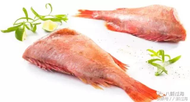 大西洋红鱼和金鲳鱼哪个好吃,大西洋红鱼和新西兰长寿鱼哪个好