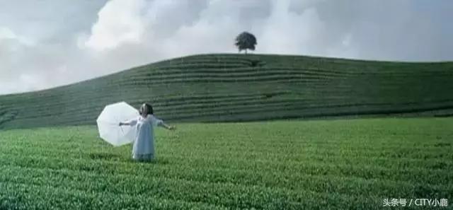 悦诗风吟是韩国牌子,韩国悦诗风吟遮瑕