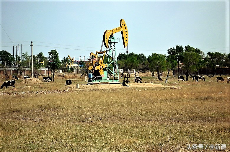 石油为什么叫磕头机,石油磕头机的由来