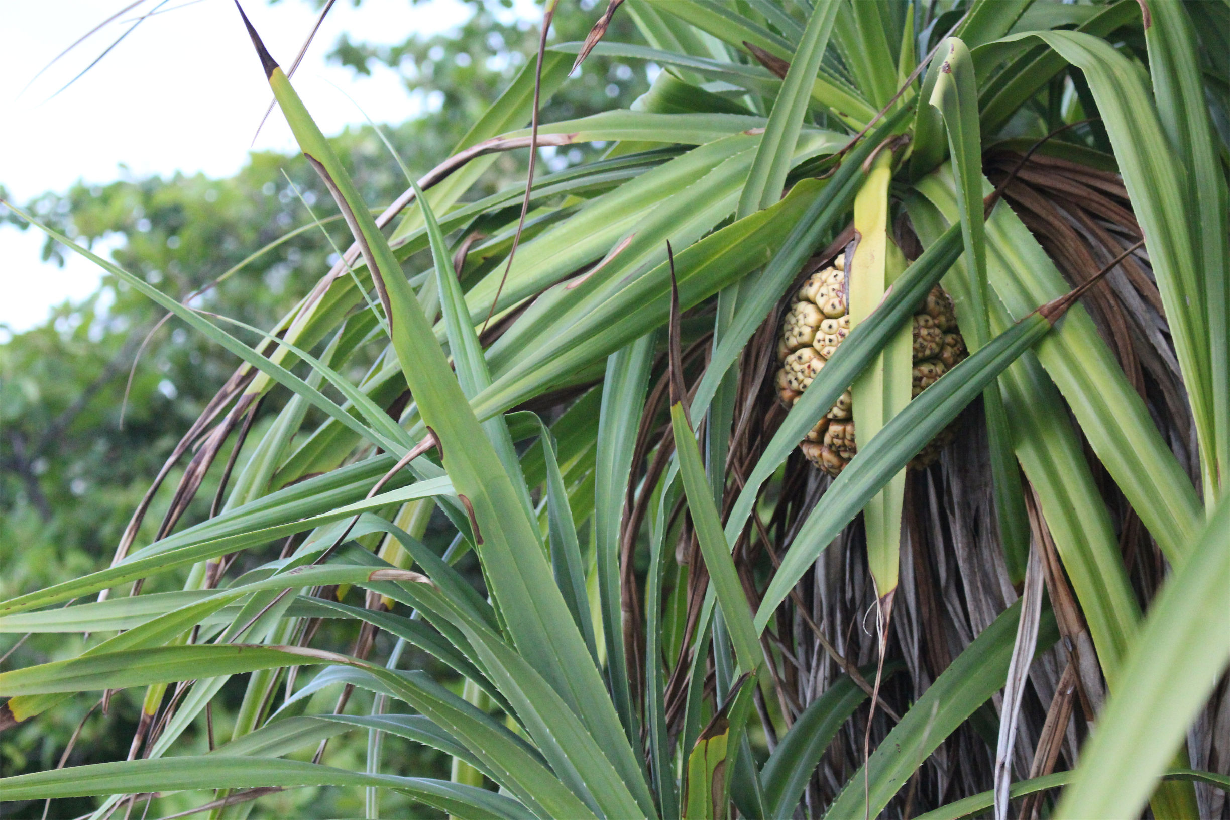马尔代夫最美景色,最美马尔代夫风景