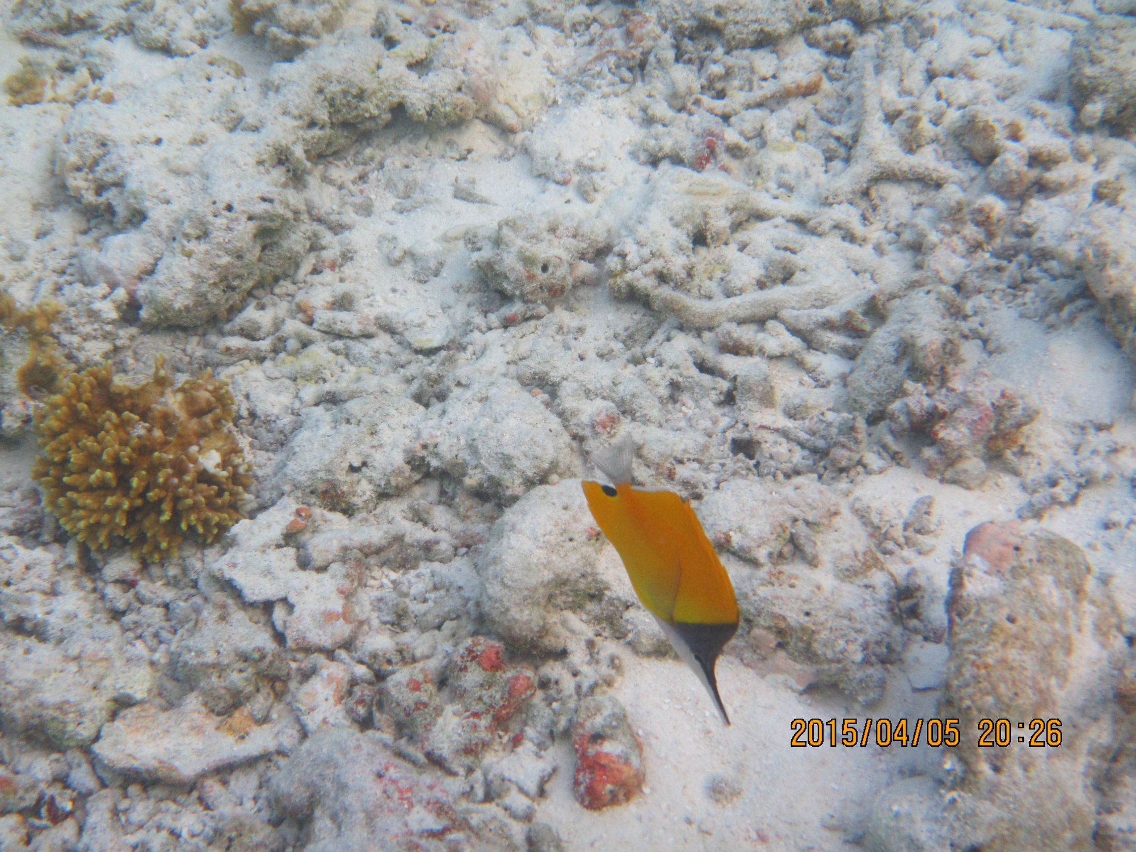 马尔代夫最美景色,最美马尔代夫风景