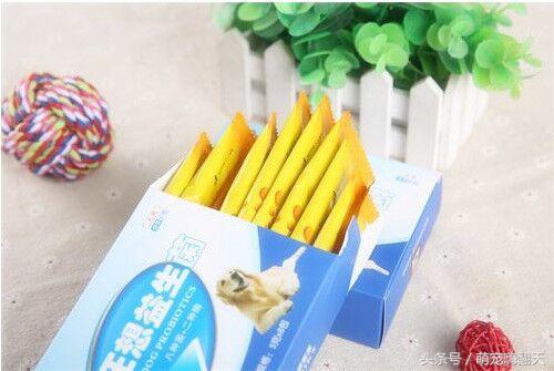 2个月大比熊拉肚子抽搐,比熊喝了牛奶拉肚子怎么办