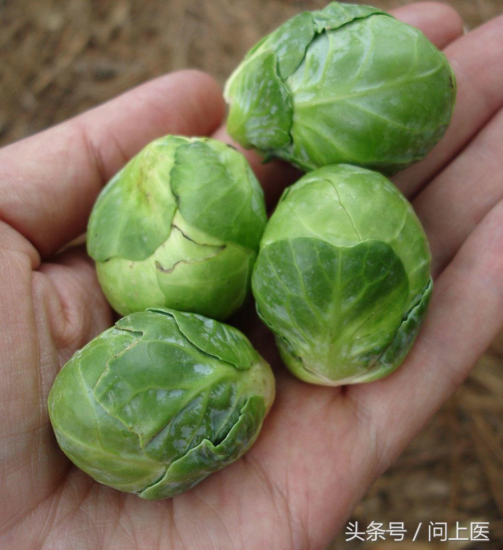 抱子甘蓝迷你小包菜做法,抱子甘蓝迷你小包菜好吃吗