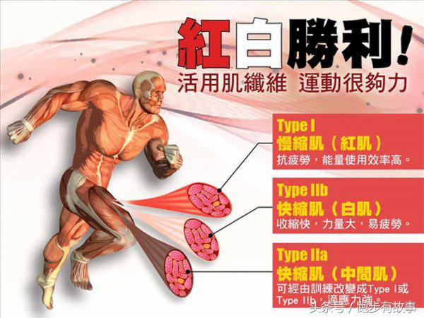 业余马拉松选手能一战辉煌吗,马拉松爱好者和运动员的区别