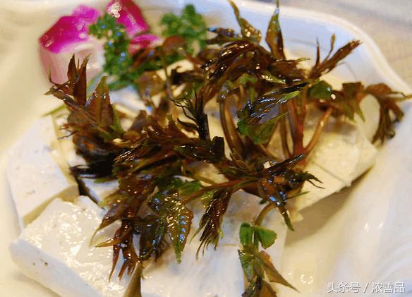 一种长在树上的野菜,营养价值名列前茅,难怪大家都爱吃!