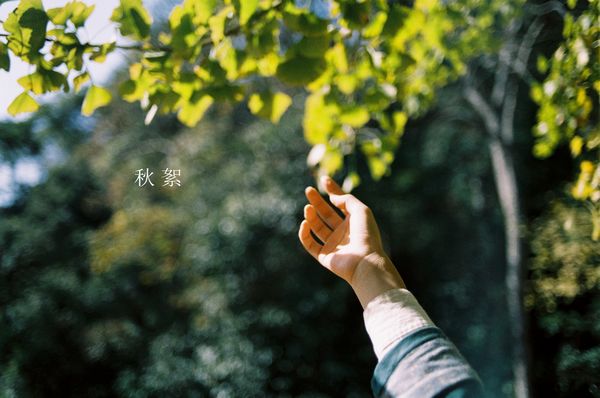 生活励志的说说,励志说说致自己简短